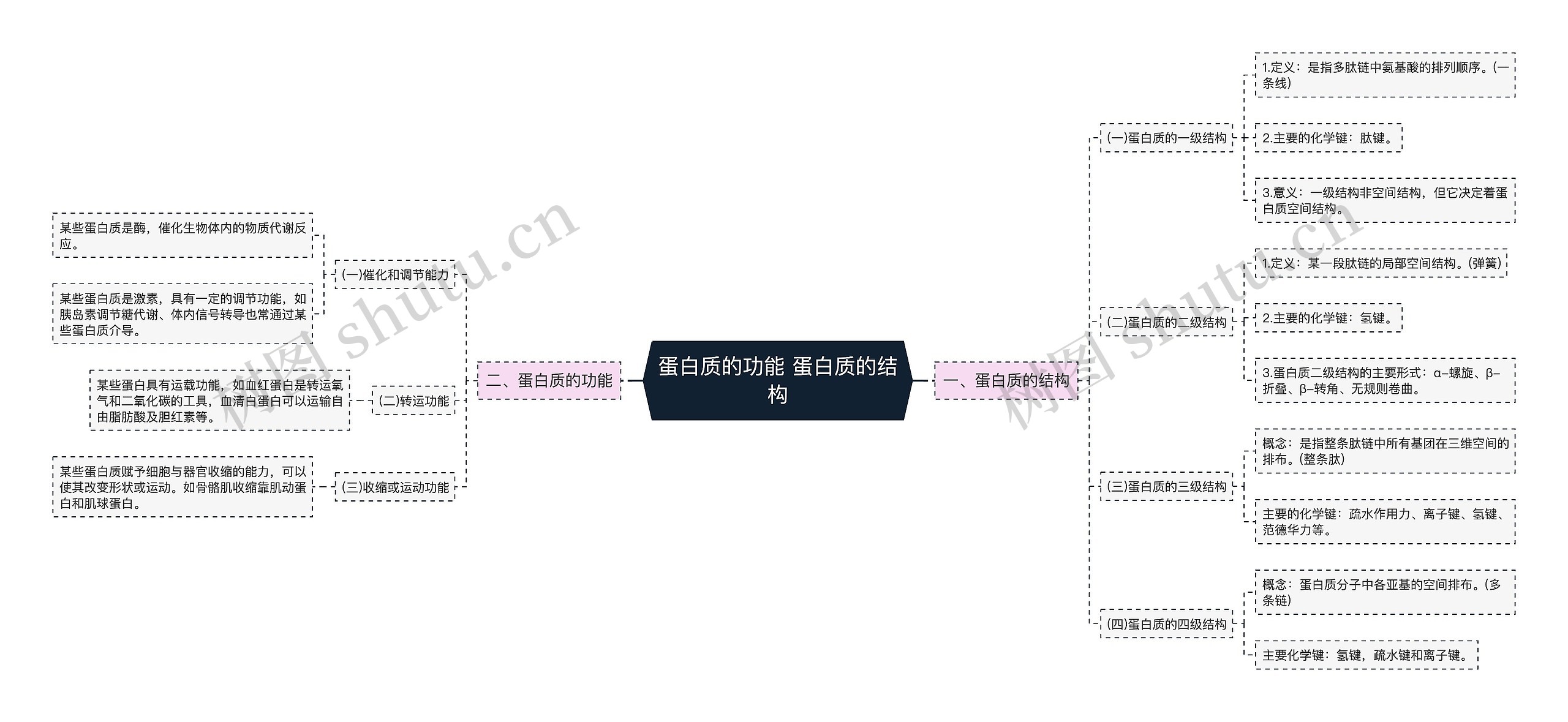 蛋白质的功能 蛋白质的结构