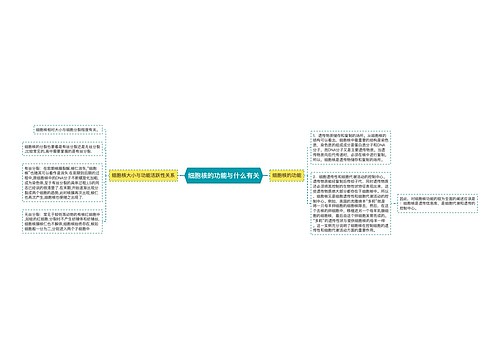 细胞核的功能与什么有关