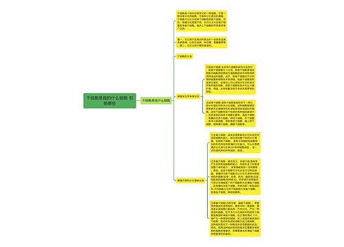 干细胞是指的什么细胞 包括哪些