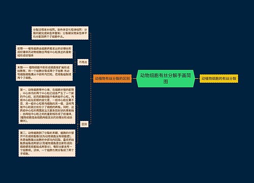 动物细胞有丝分解手画简图