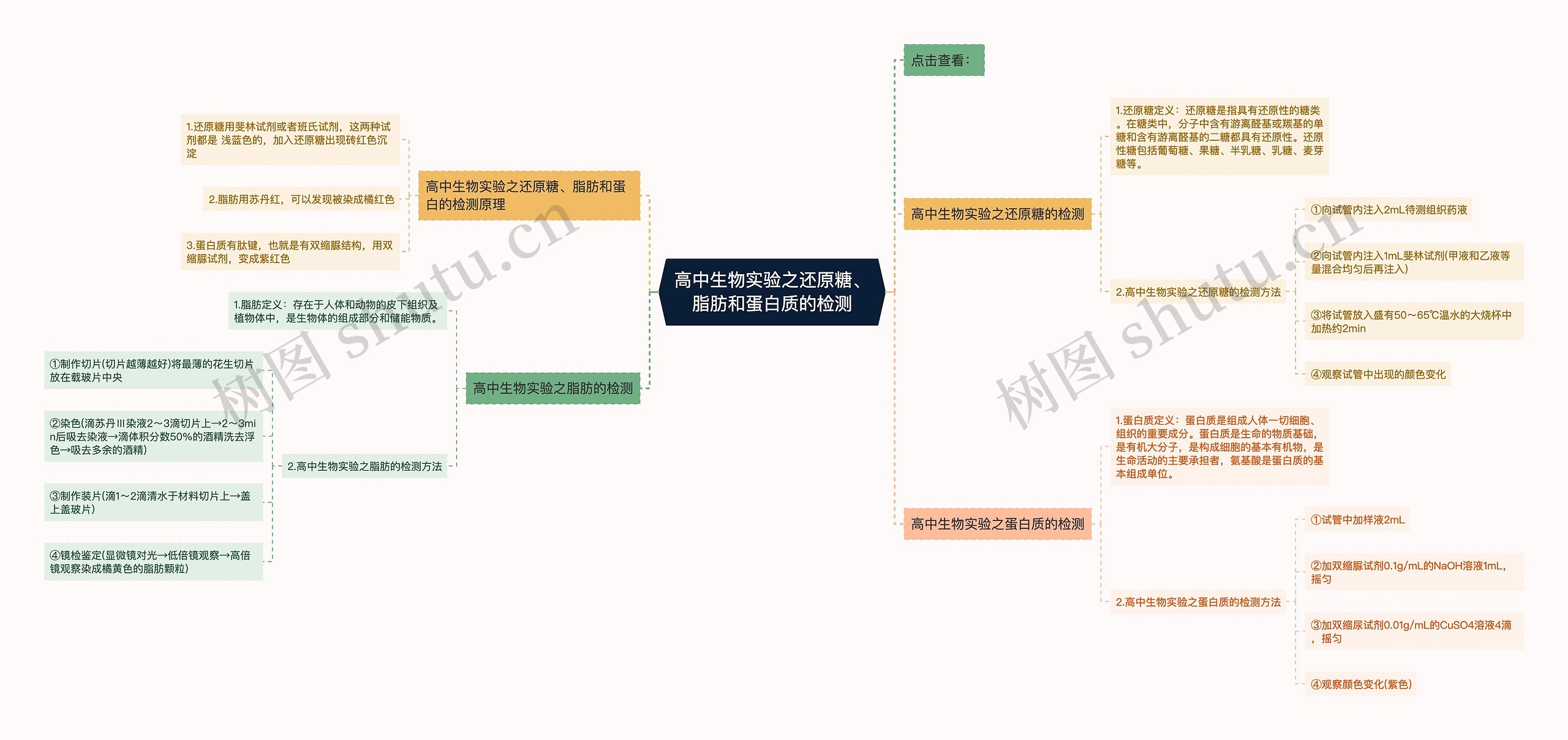 高中生物实验之还原糖、脂肪和蛋白质的检测思维导图