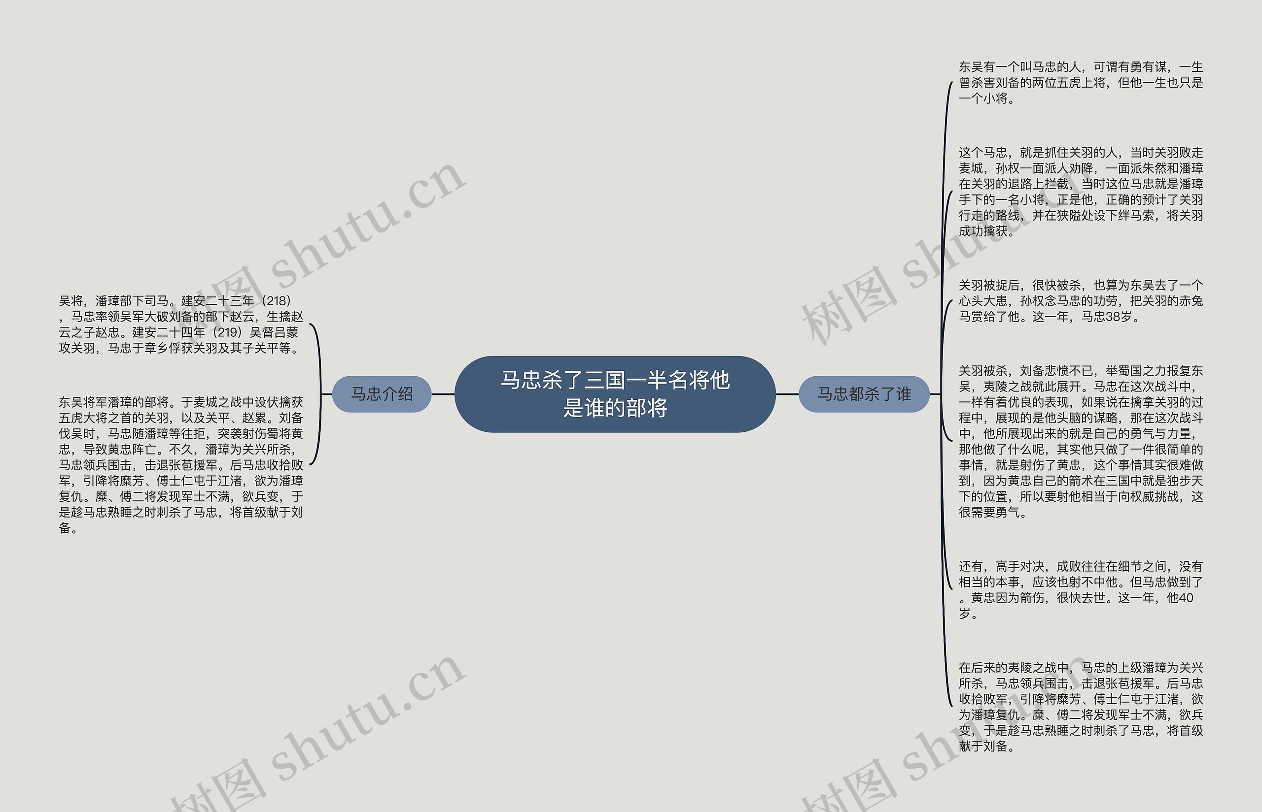 马忠杀了三国一半名将他是谁的部将思维导图