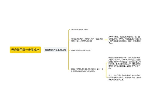 光合作用哪一步生成水