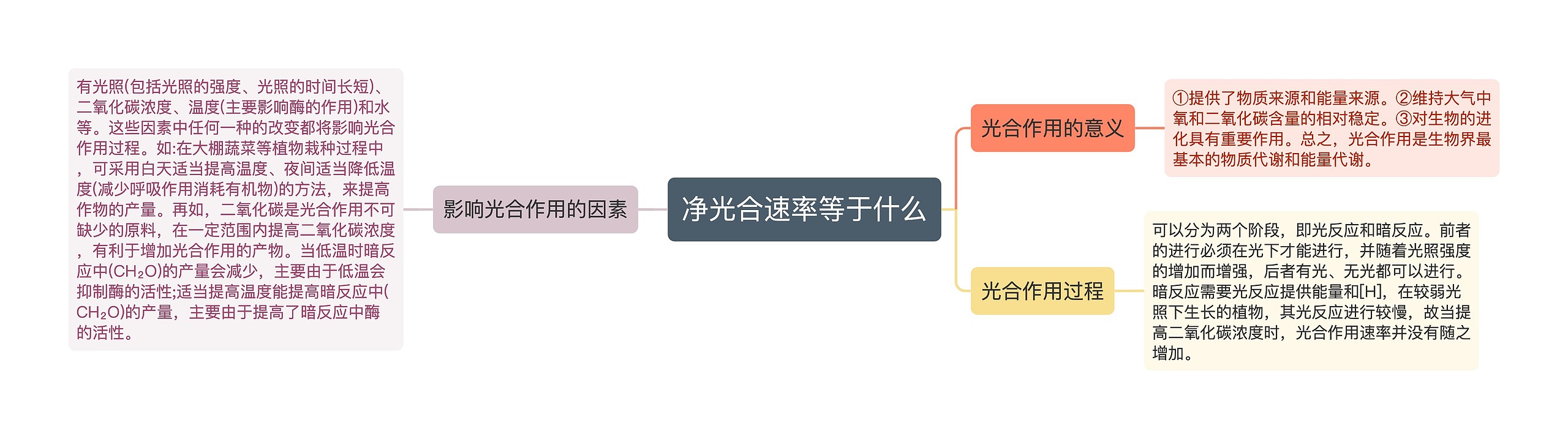 净光合速率等于什么