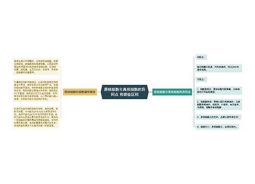 原核细胞与真核细胞的异同点 有哪些区别