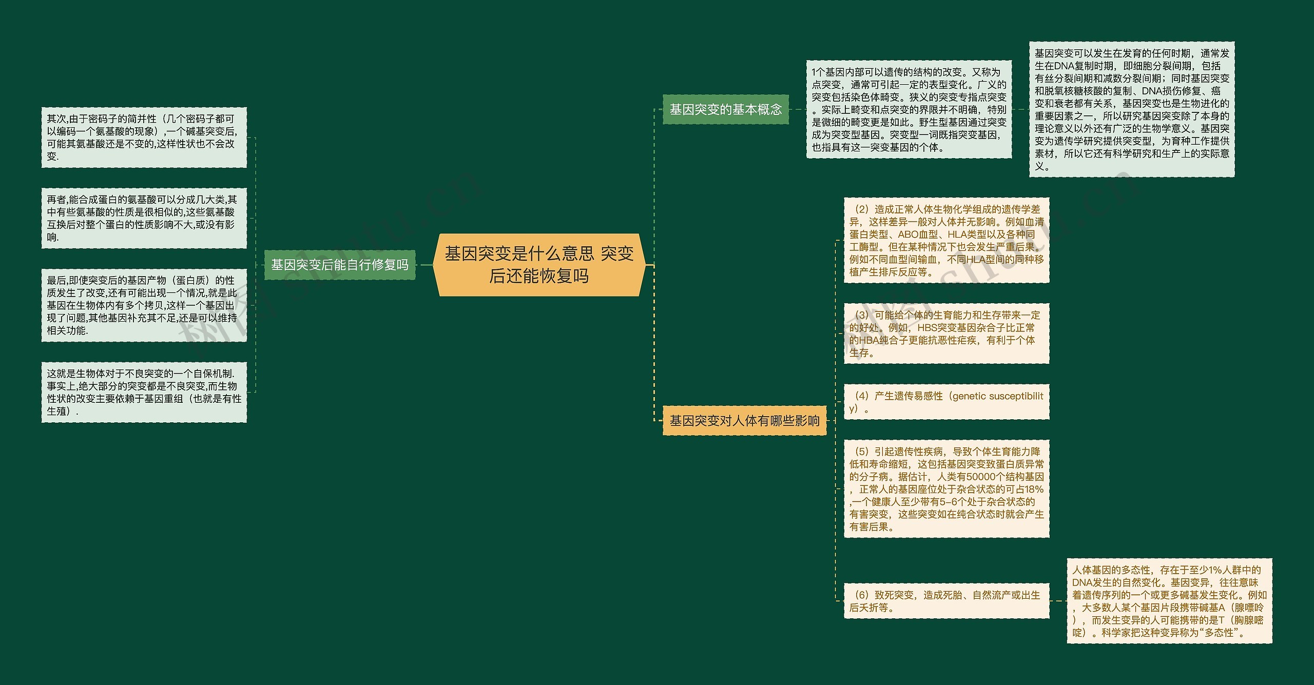 基因突变是什么意思 突变后还能恢复吗思维导图