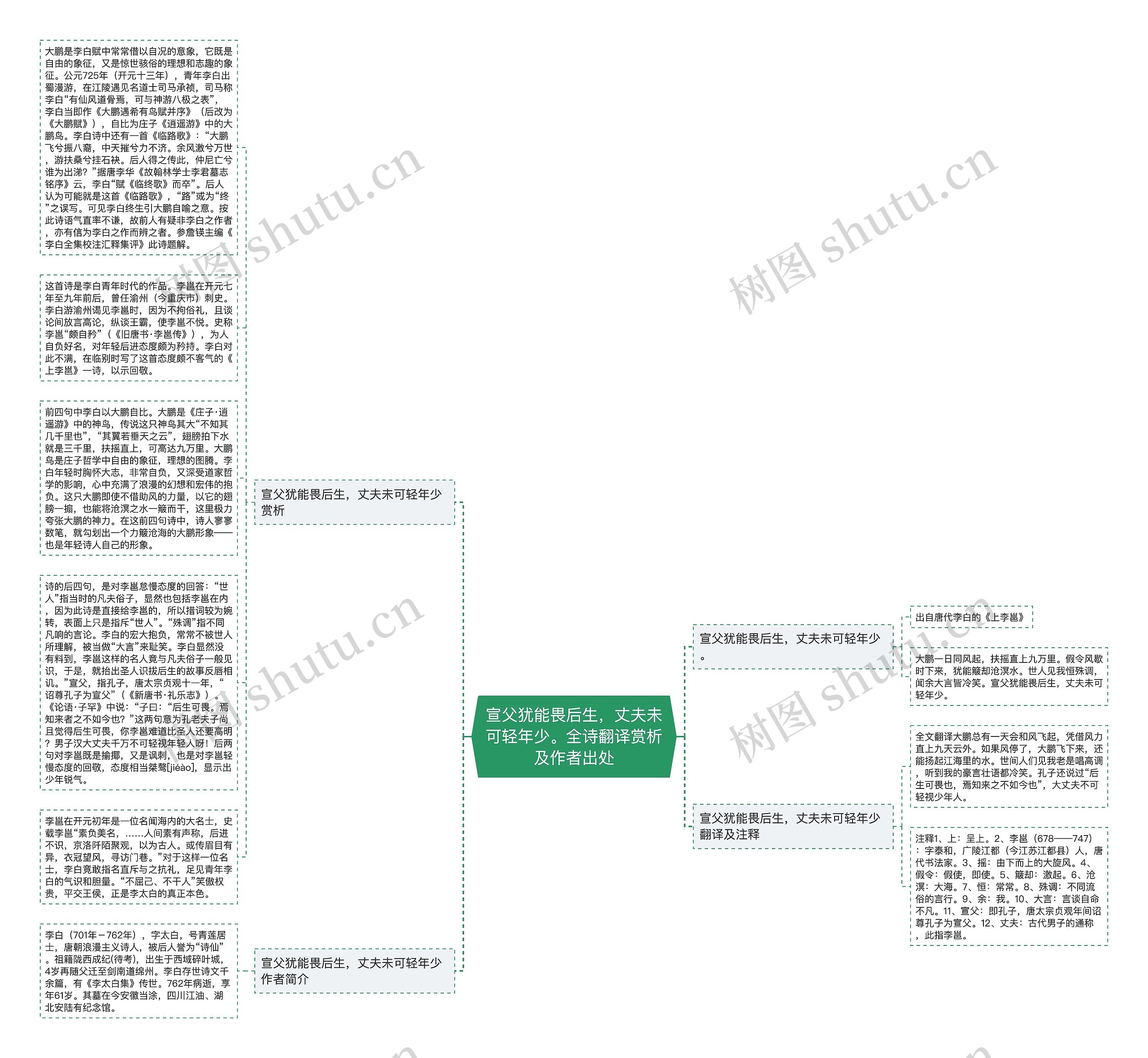 宣父犹能畏后生，丈夫未可轻年少。全诗翻译赏析及作者出处思维导图
