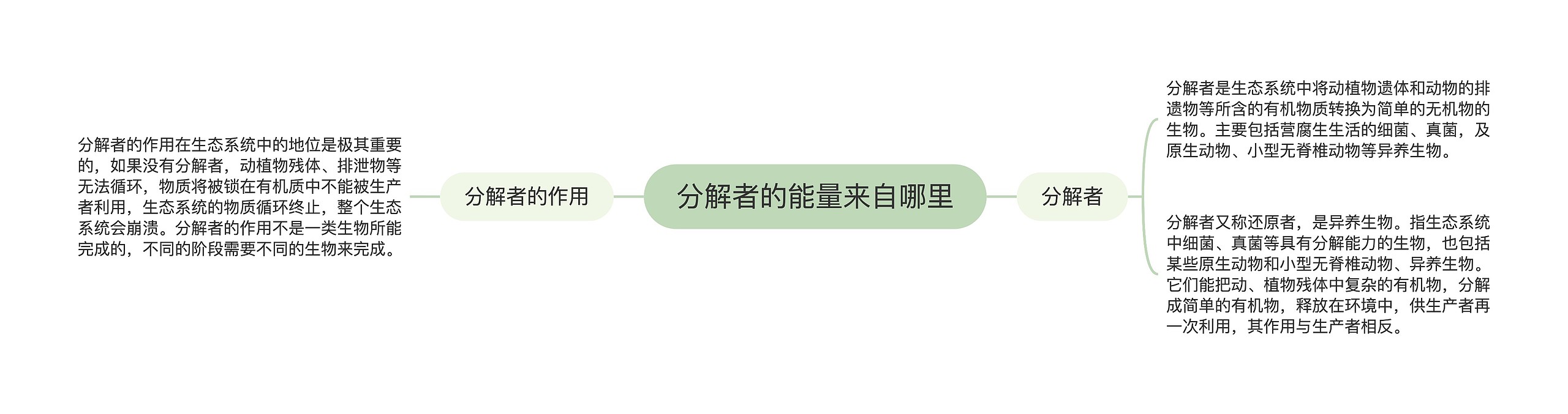 分解者的能量来自哪里