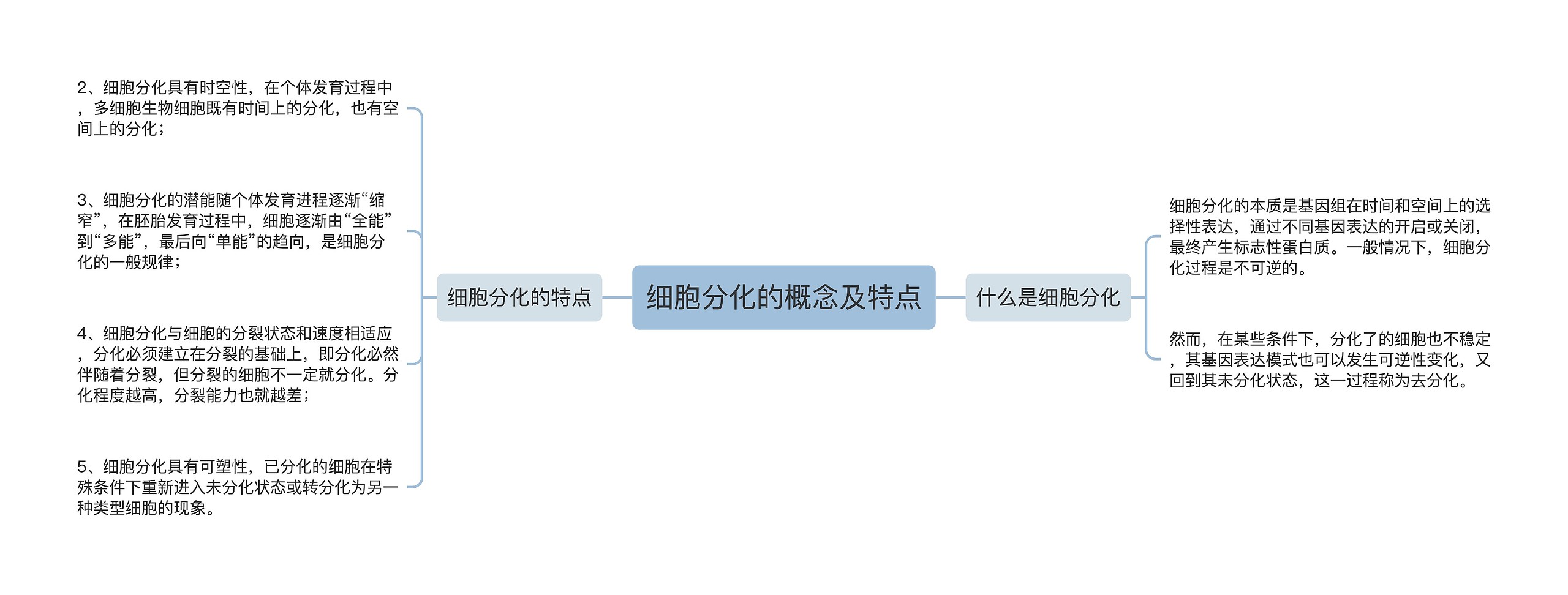 细胞分化的概念及特点