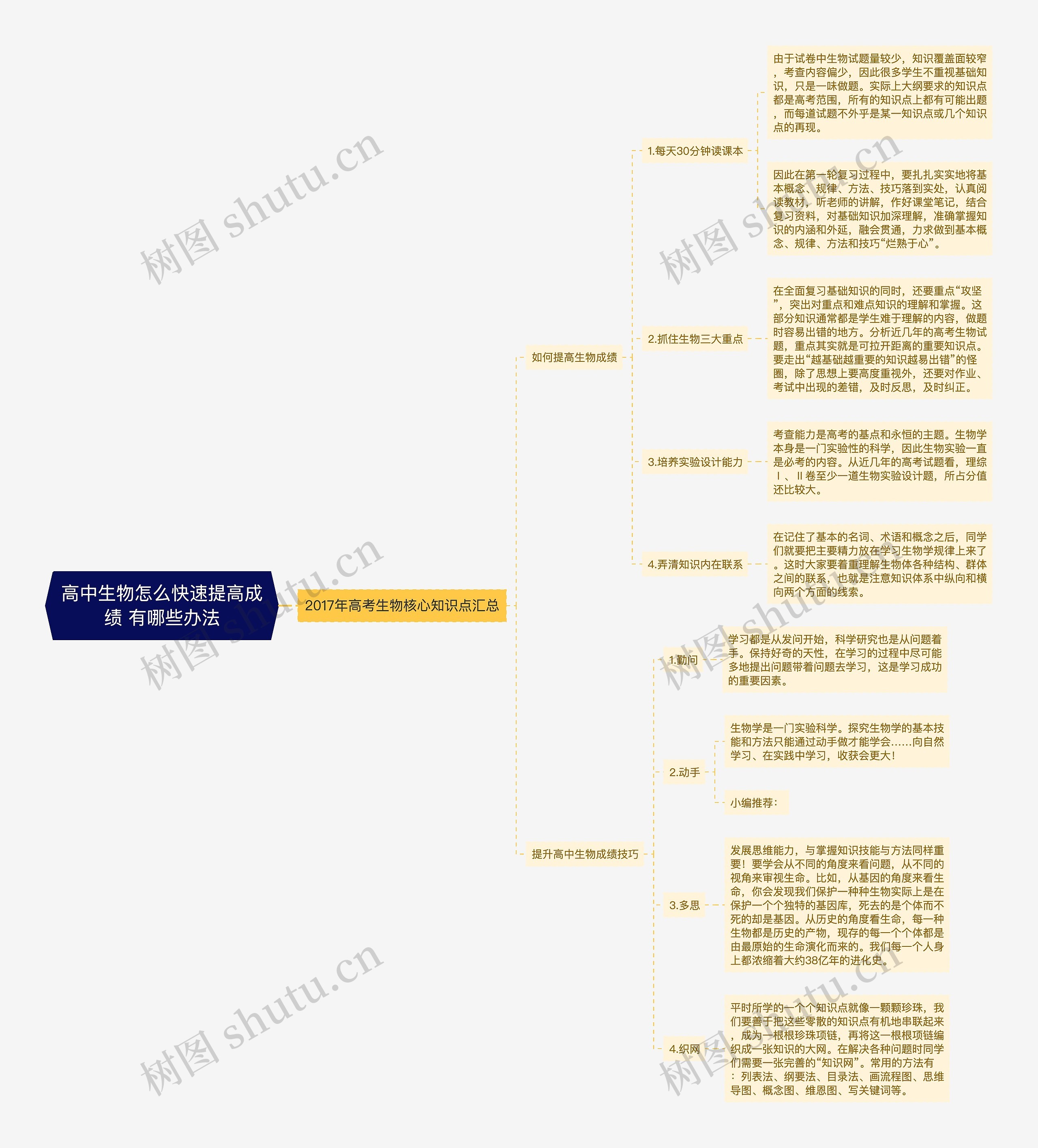 高中生物怎么快速提高成绩 有哪些办法思维导图