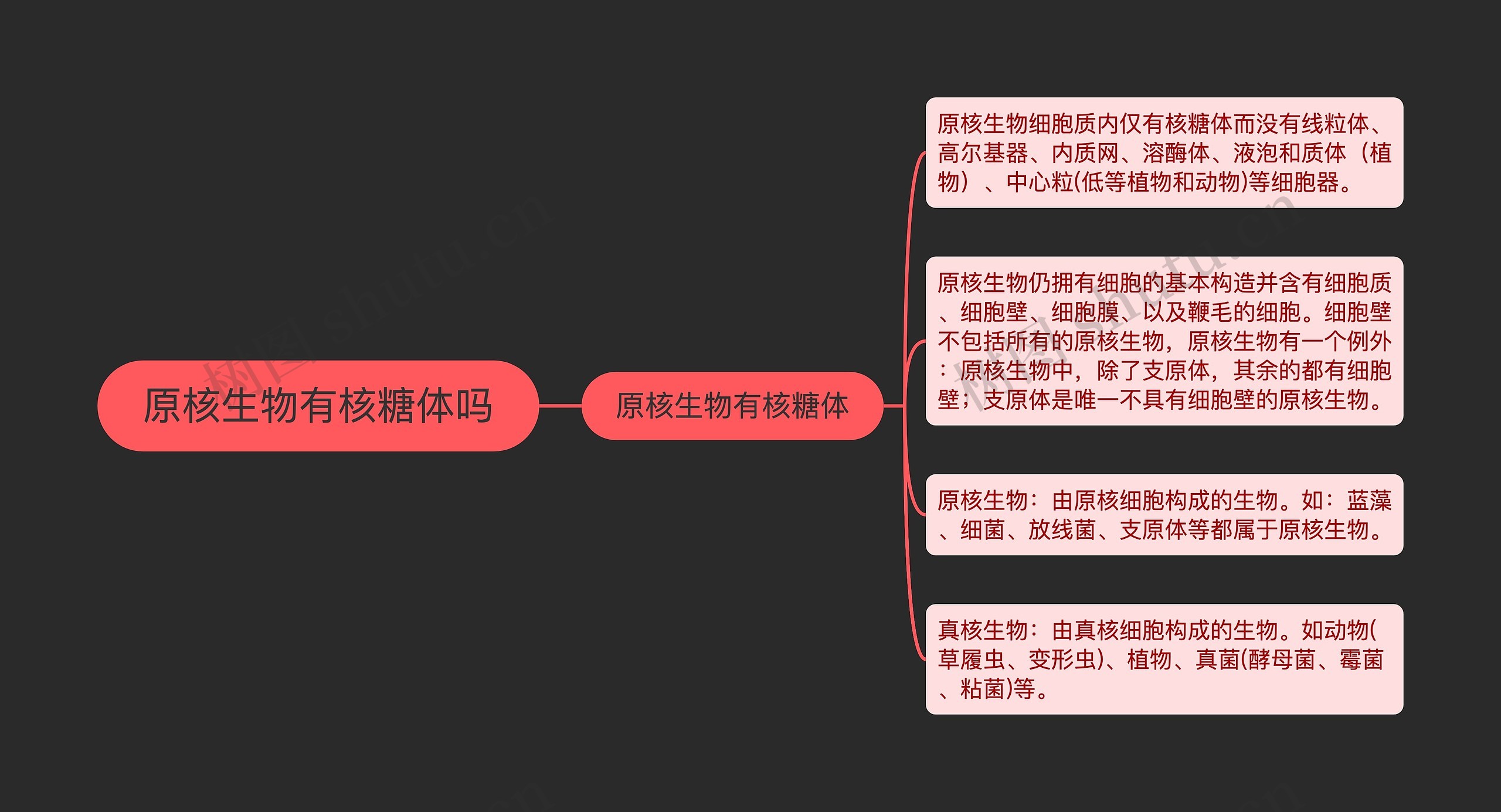 原核生物有核糖体吗思维导图