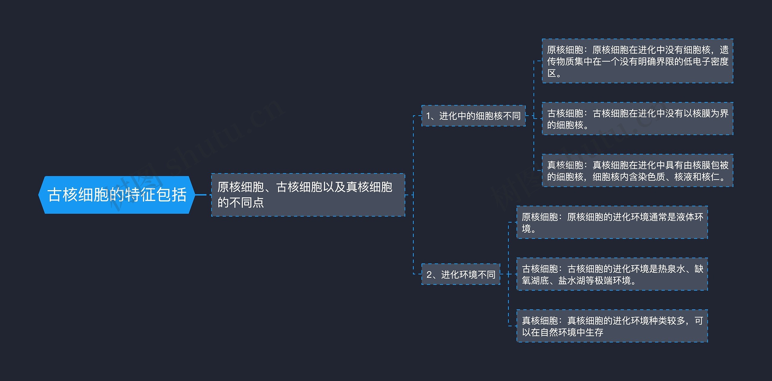 古核细胞的特征包括思维导图