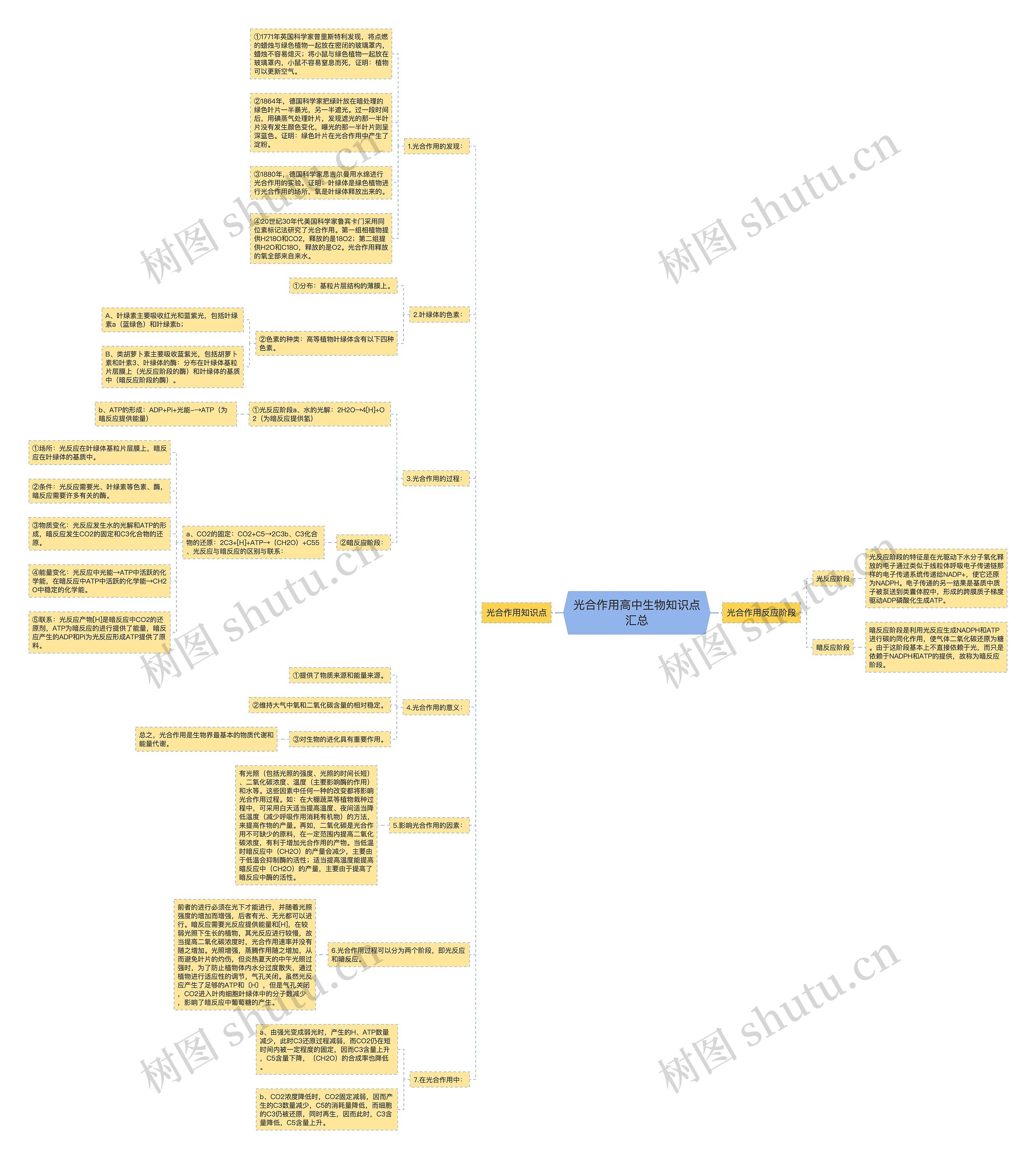 光合作用高中生物知识点汇总