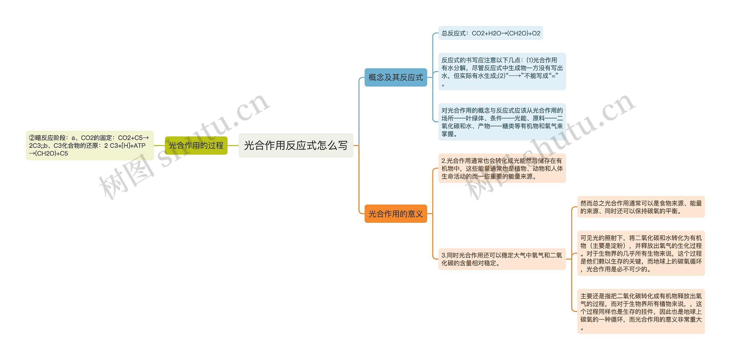 光合作用反应式怎么写思维导图