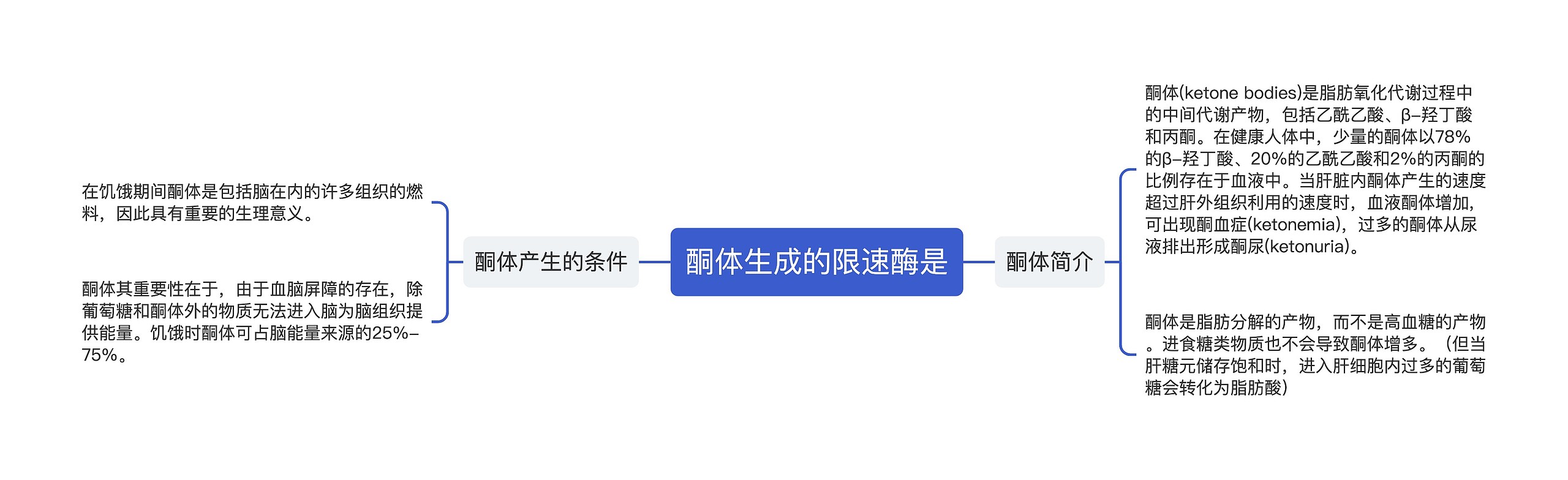 酮体生成的限速酶是思维导图