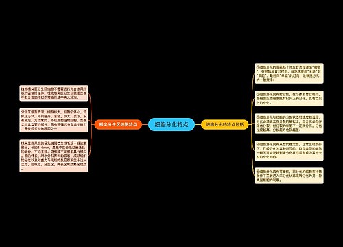 细胞分化特点