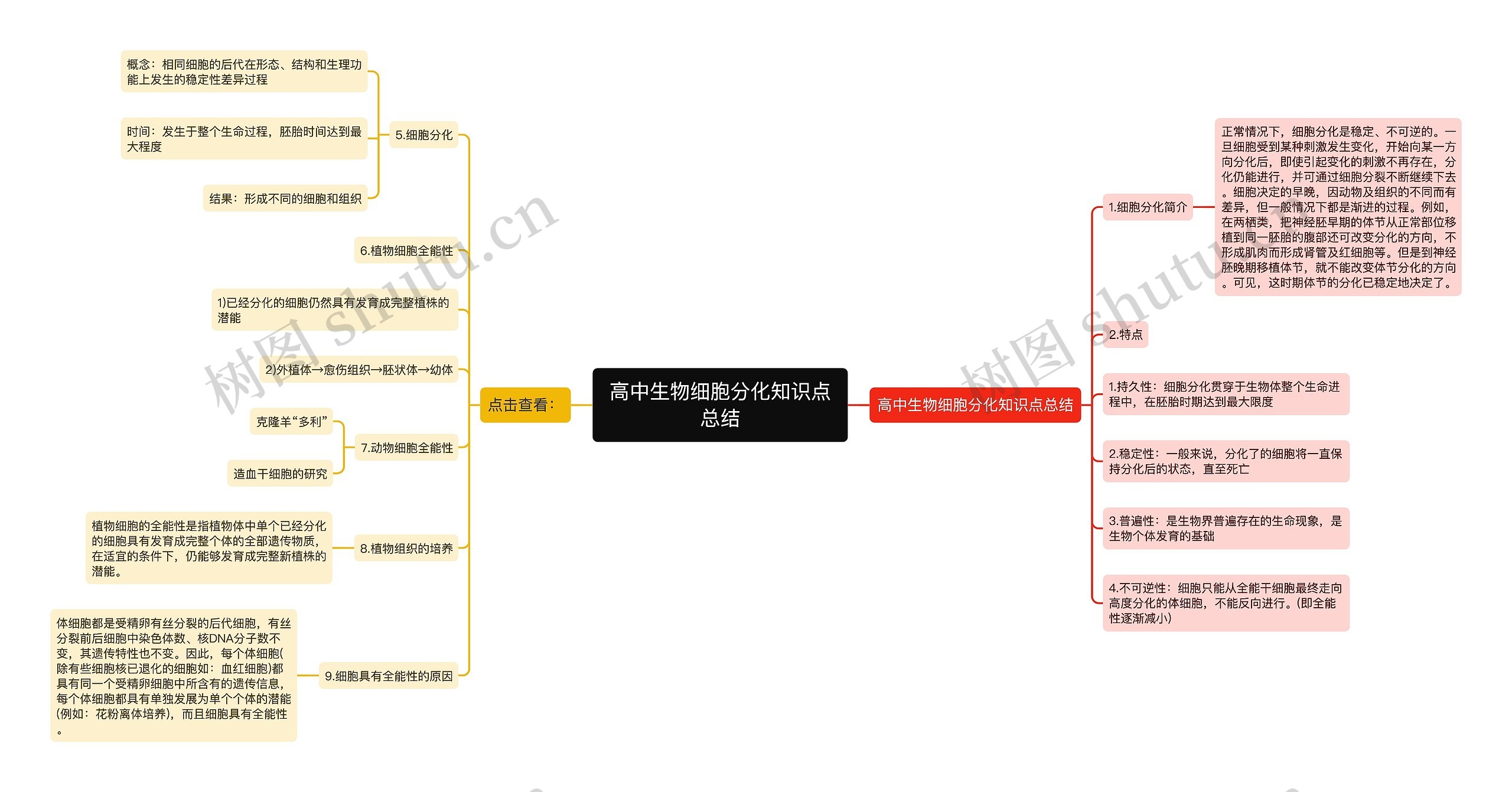 高中生物细胞分化知识点总结