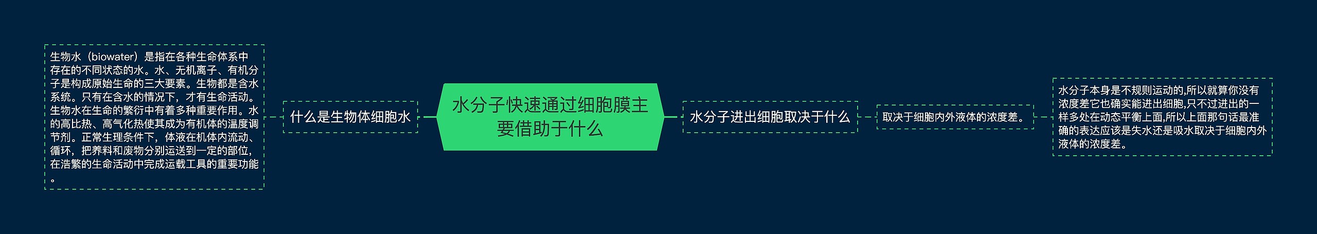 水分子快速通过细胞膜主要借助于什么