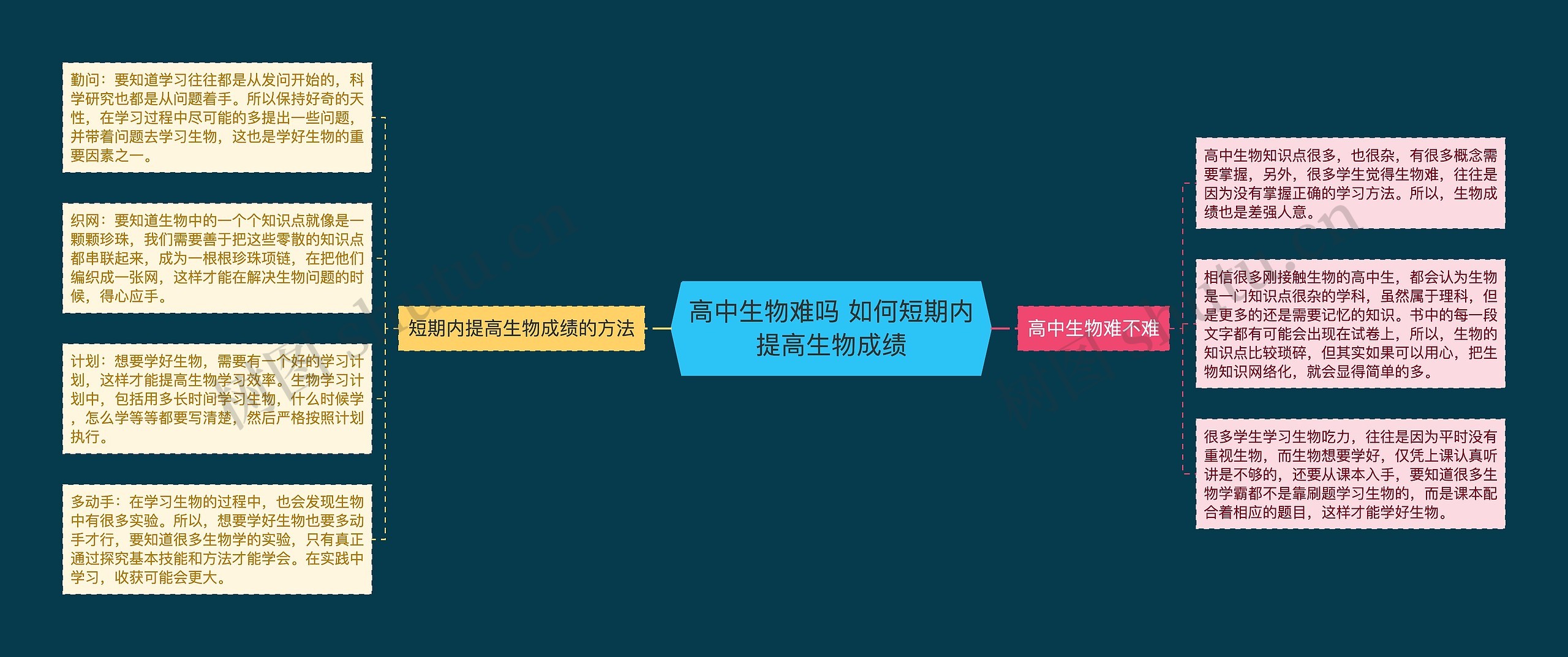 高中生物难吗 如何短期内提高生物成绩思维导图