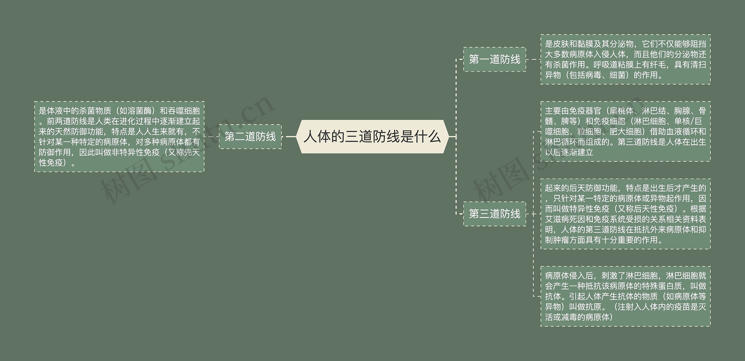 人体的三道防线是什么