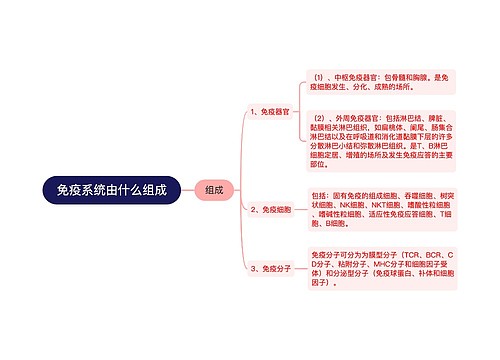 免疫系统由什么组成