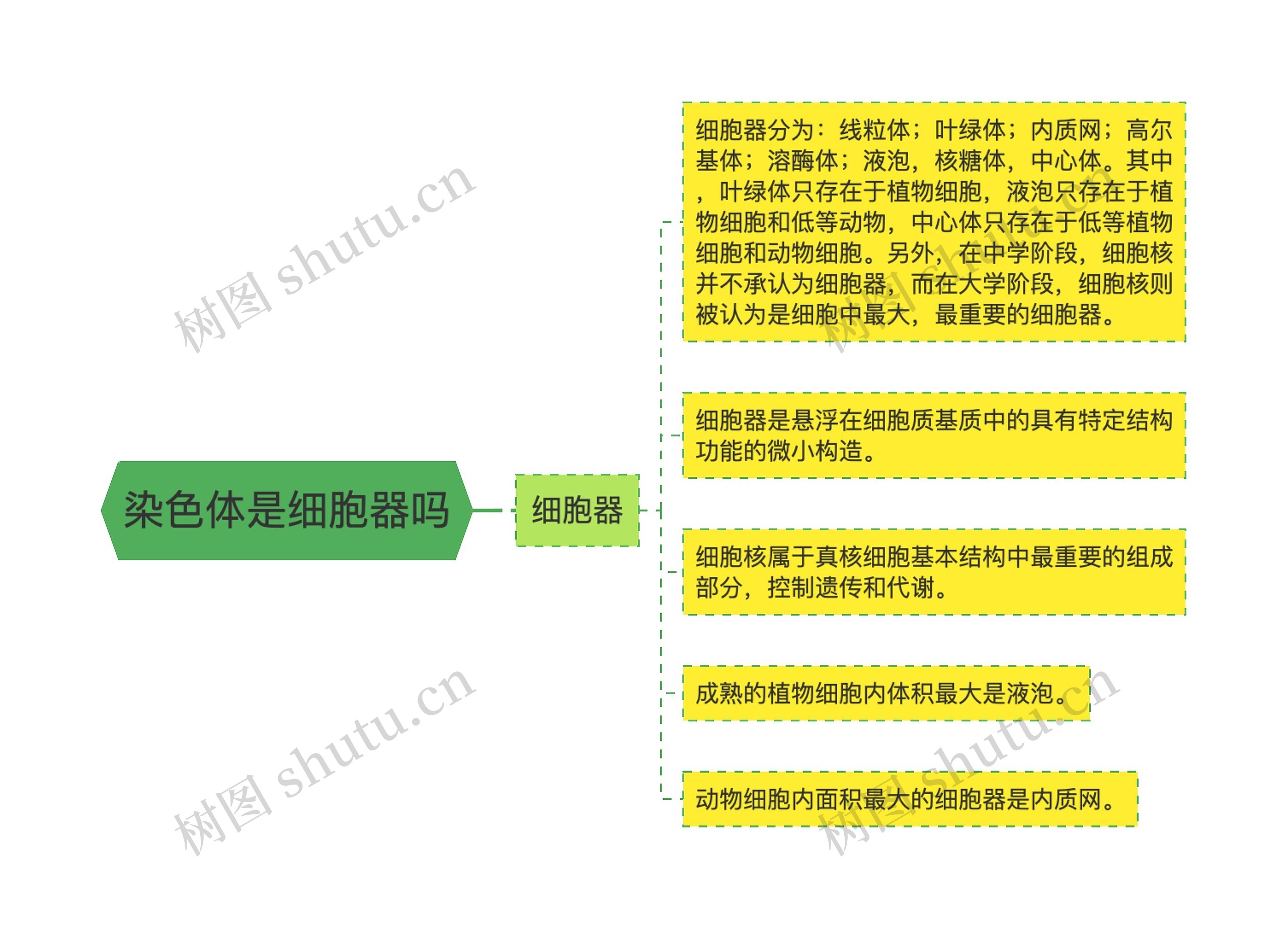 染色体是细胞器吗