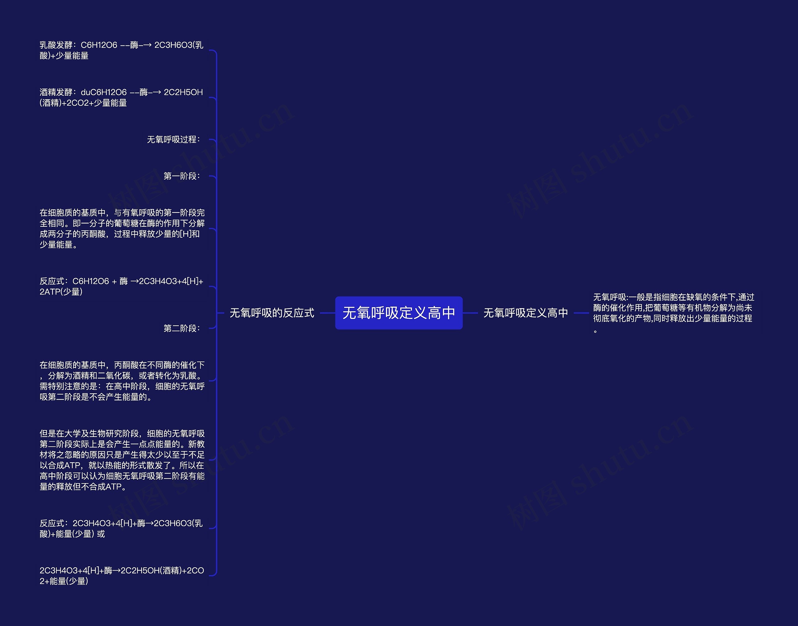 无氧呼吸定义高中思维导图