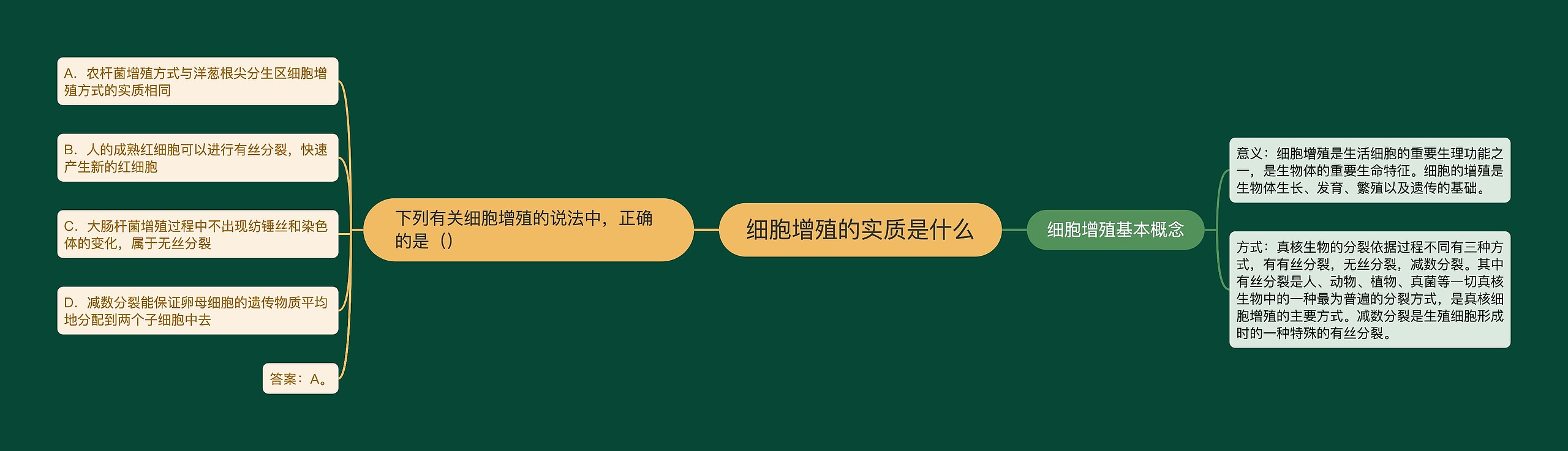 细胞增殖的实质是什么