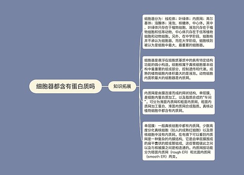 细胞器都含有蛋白质吗