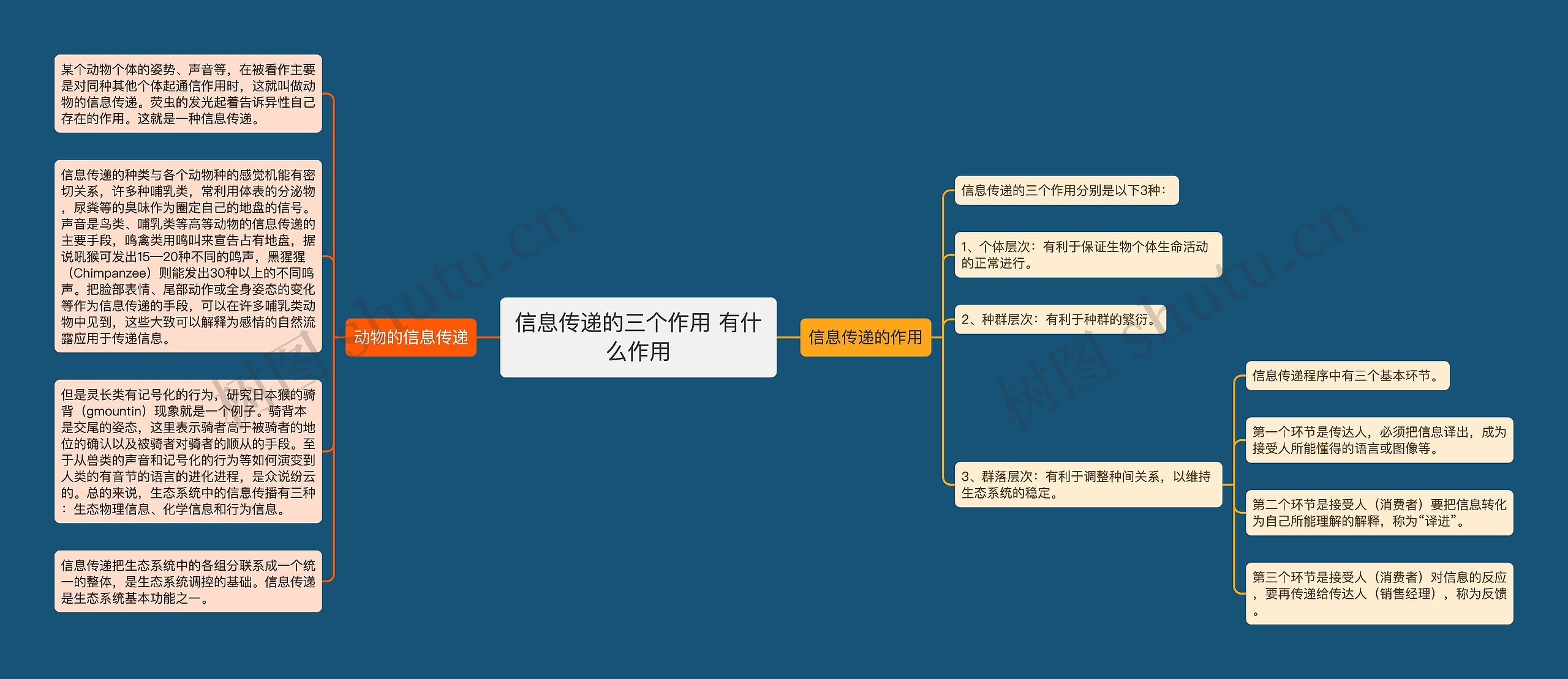 信息传递的三个作用 有什么作用