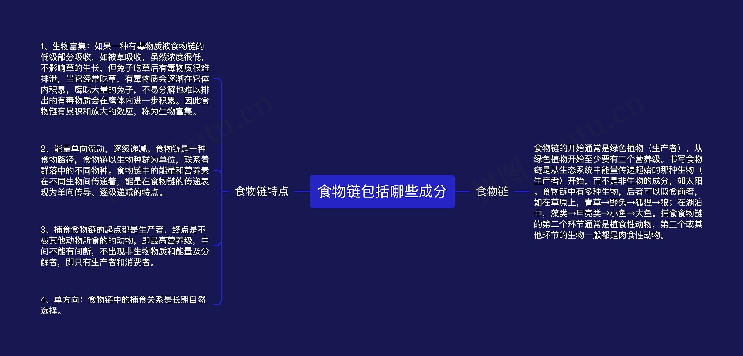 食物链包括哪些成分