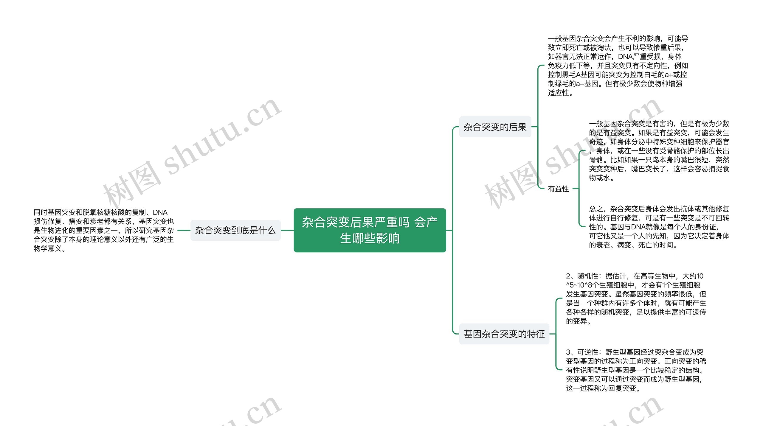 杂合突变后果严重吗 会产生哪些影响思维导图