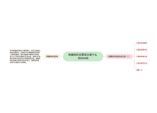 核糖体的主要成分是什么 有DNA吗