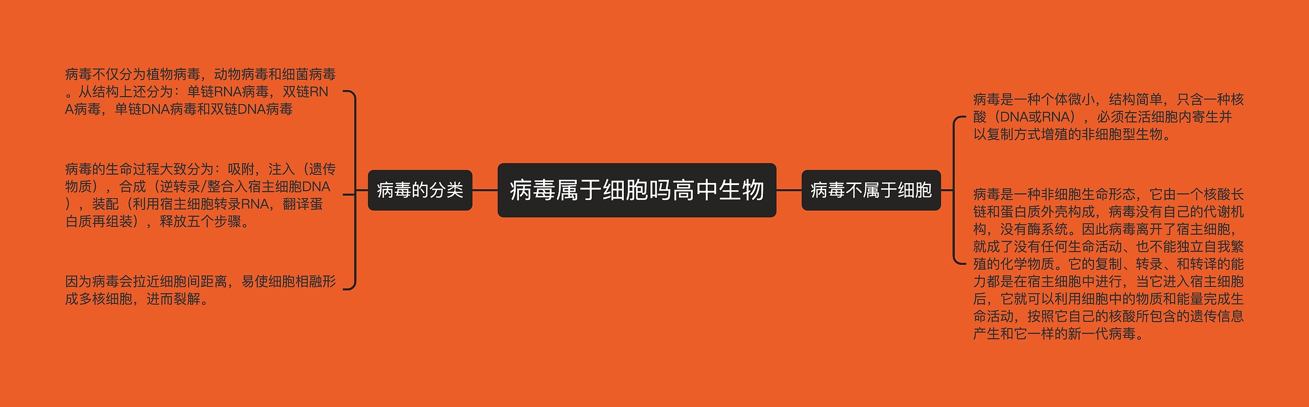 病毒属于细胞吗高中生物