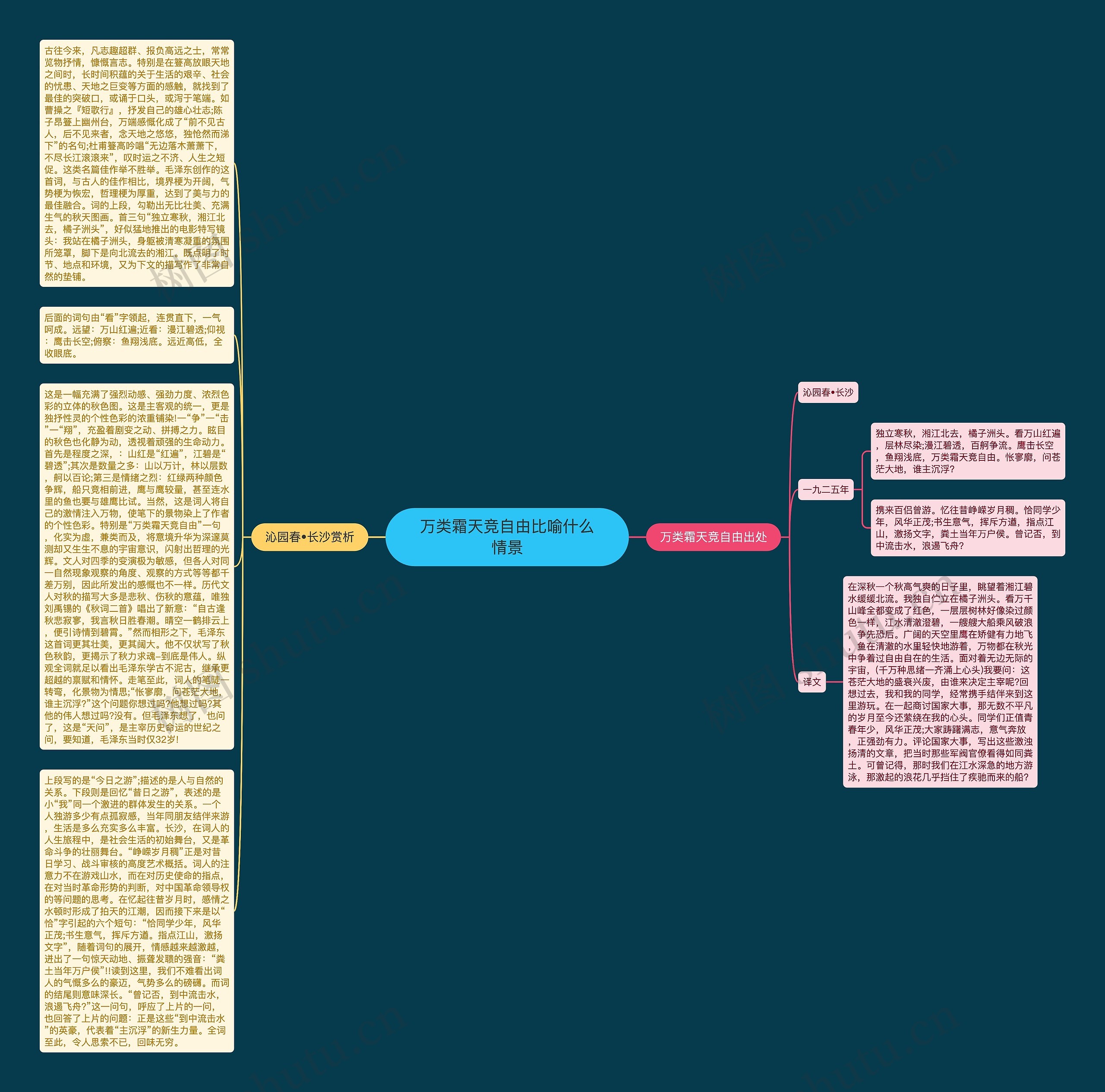 万类霜天竞自由比喻什么情景思维导图