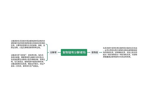 食物链有分解者吗