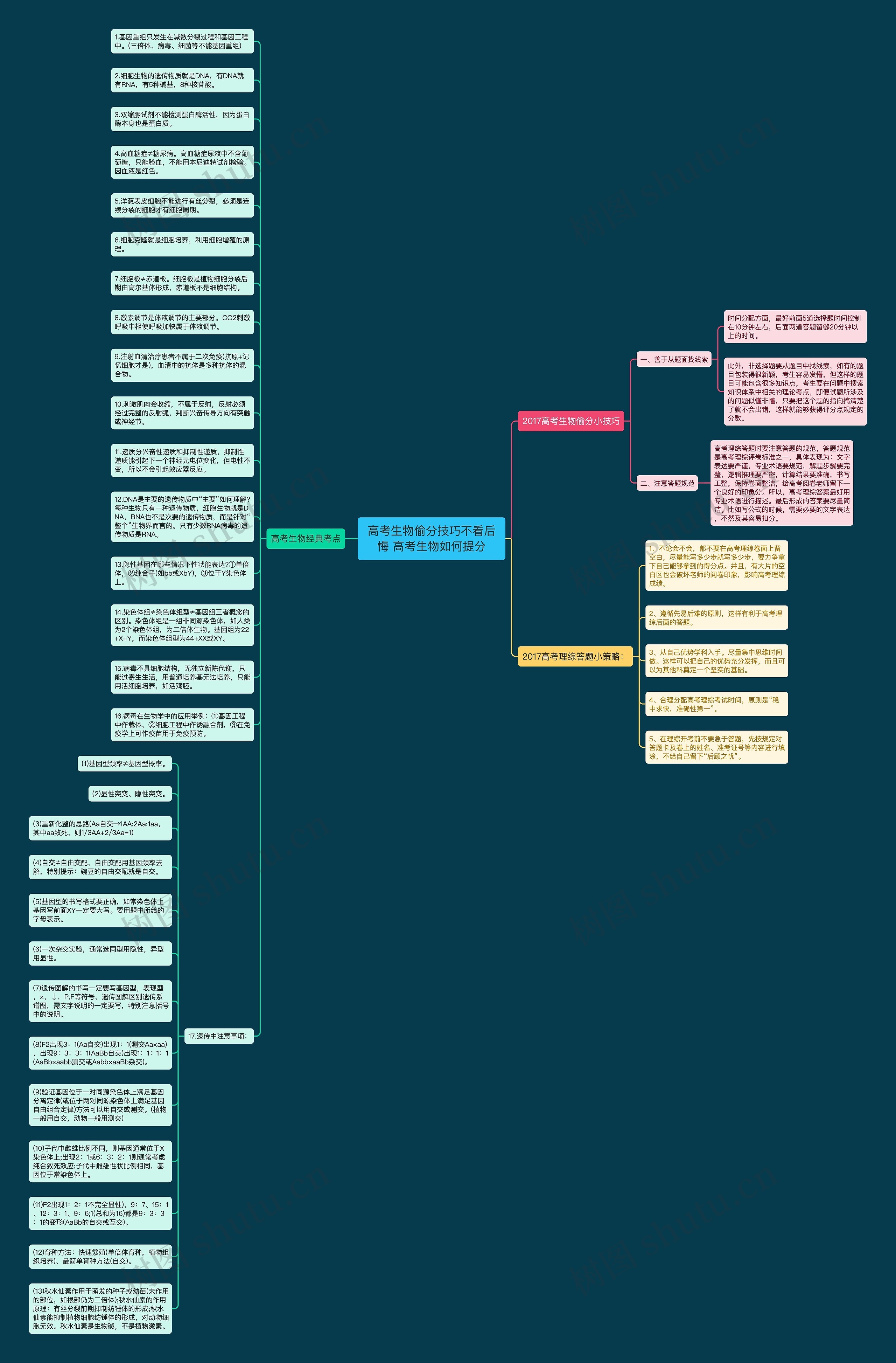 高考生物偷分技巧不看后悔 高考生物如何提分思维导图