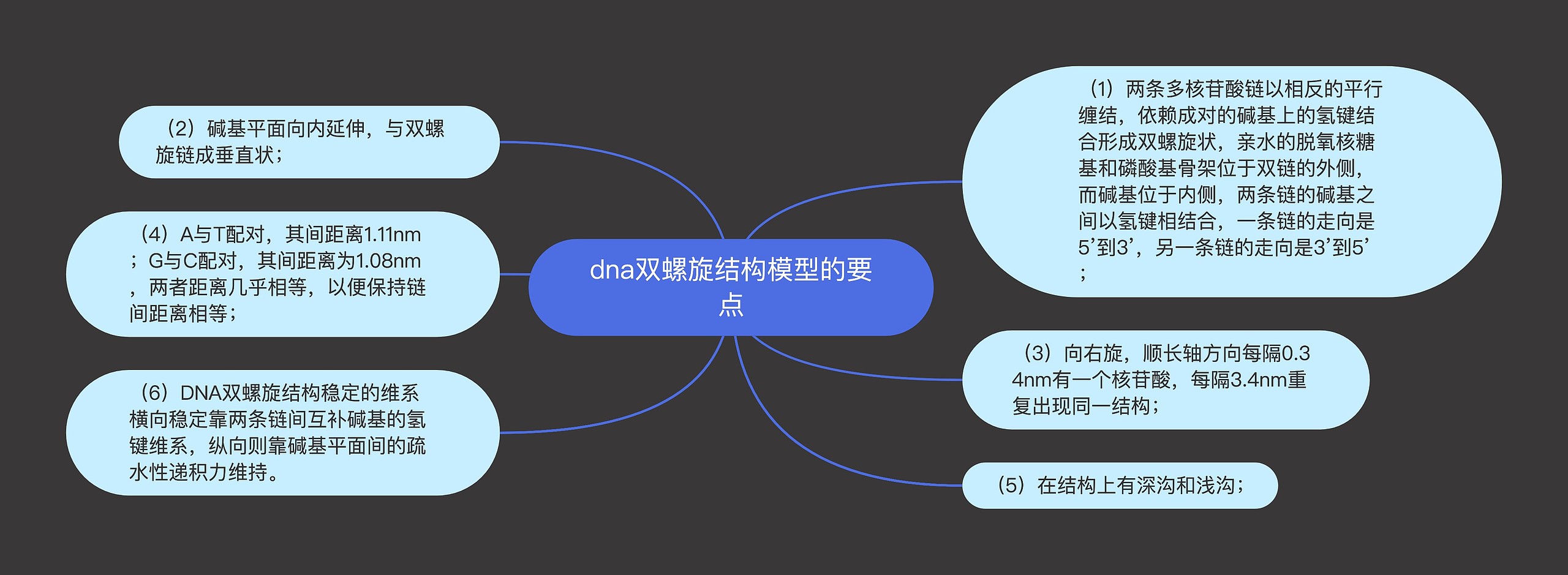 dna双螺旋结构模型的要点思维导图