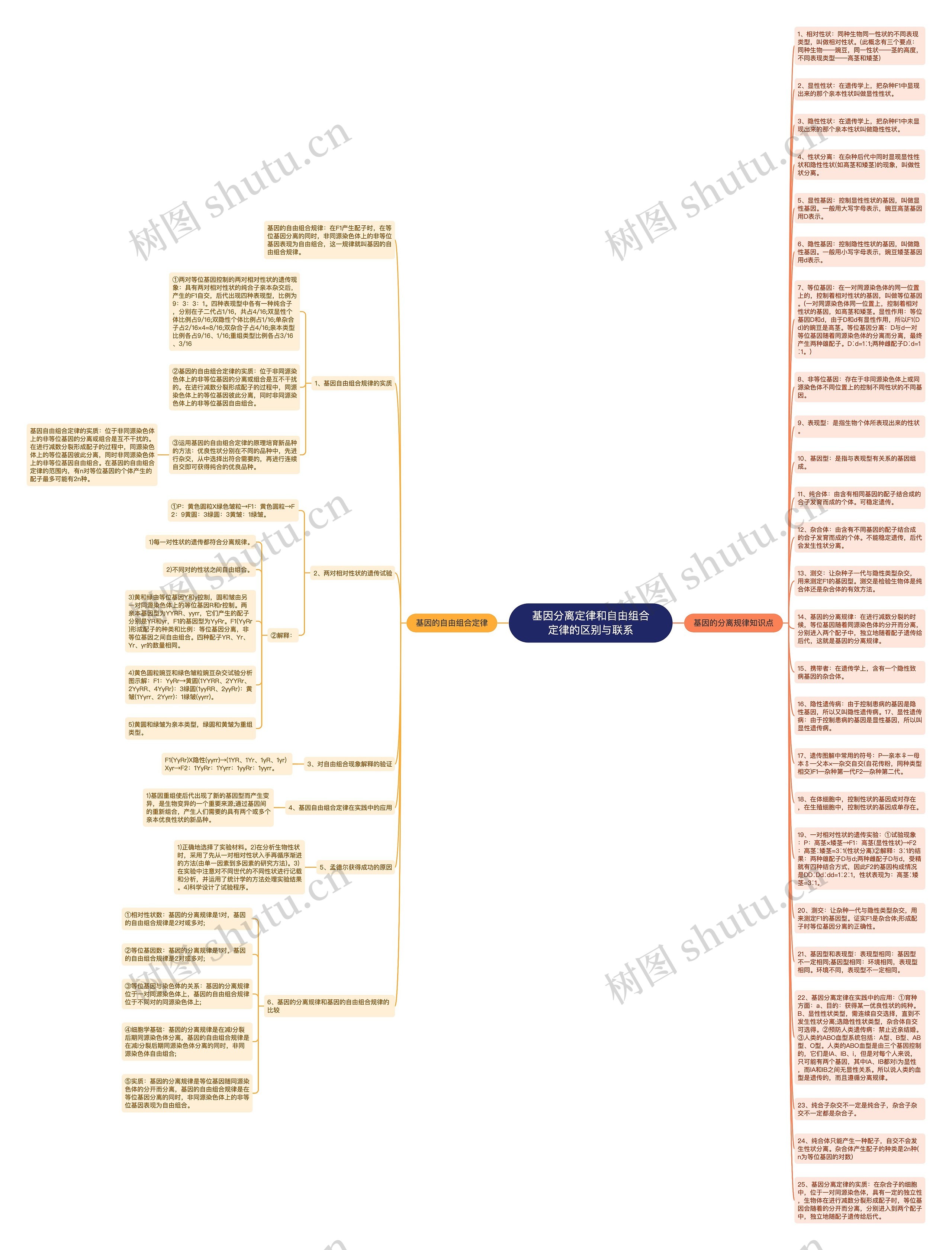 基因分离定律和自由组合定律的区别与联系思维导图