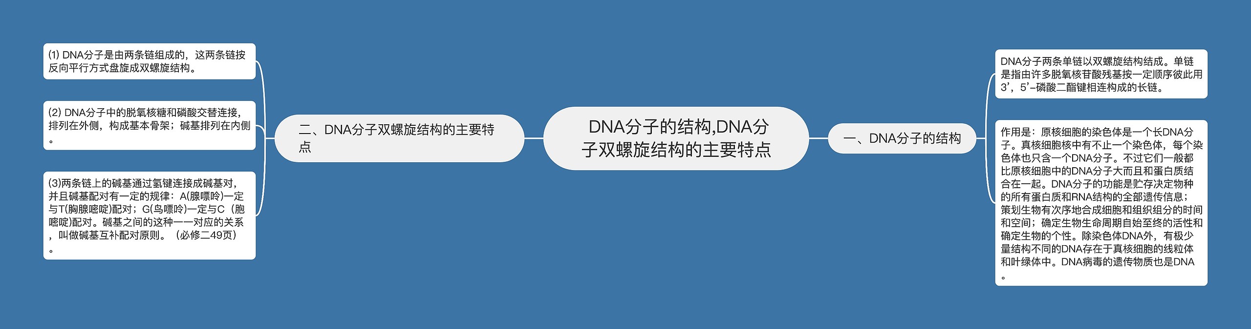  DNA分子的结构,DNA分子双螺旋结构的主要特点