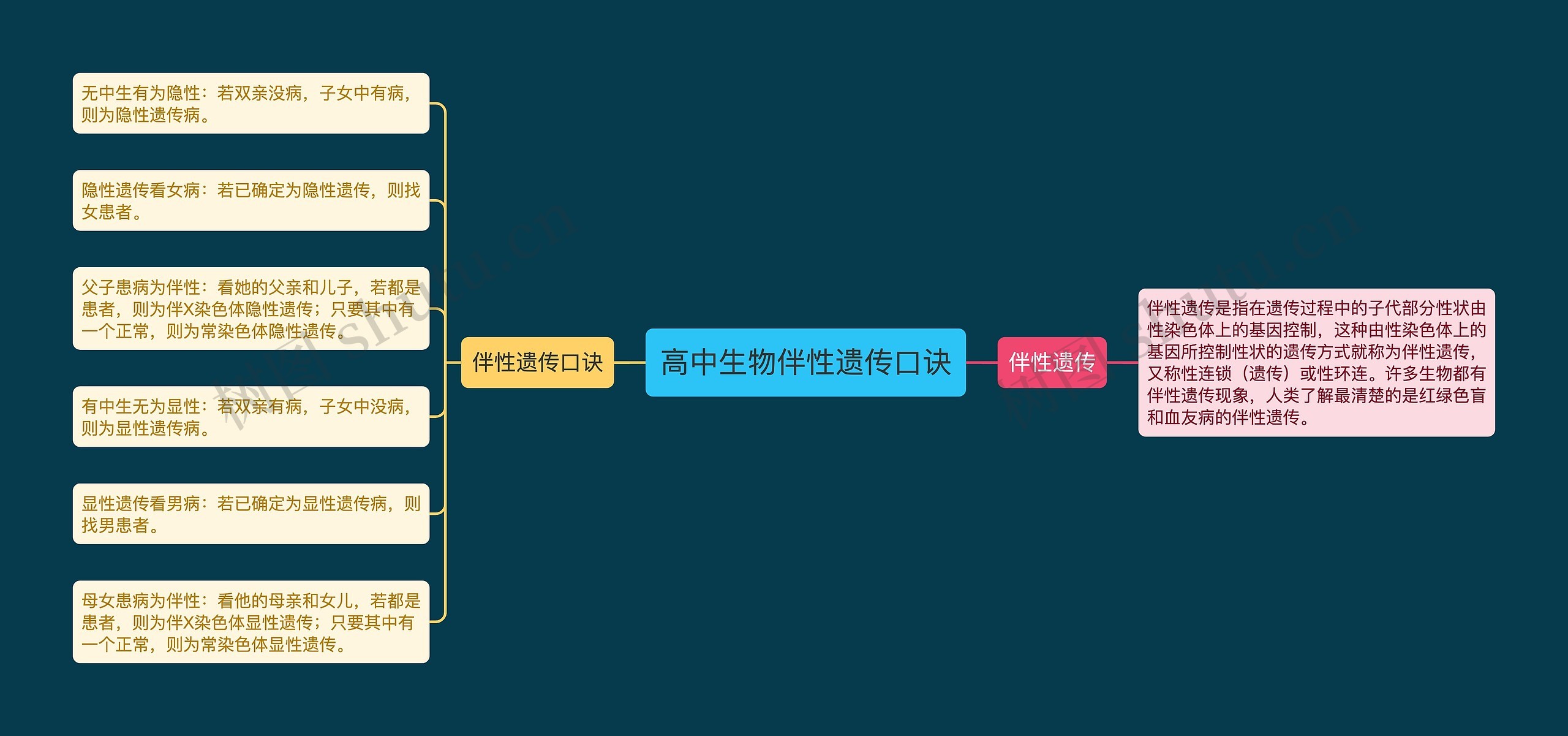 高中生物伴性遗传口诀思维导图