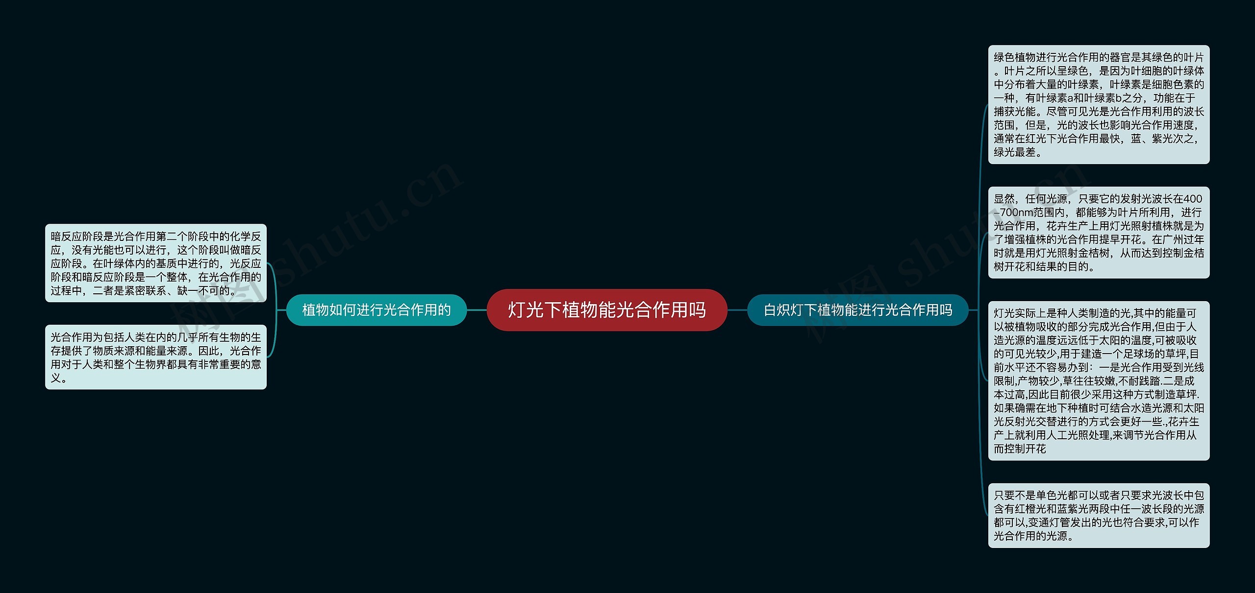 灯光下植物能光合作用吗