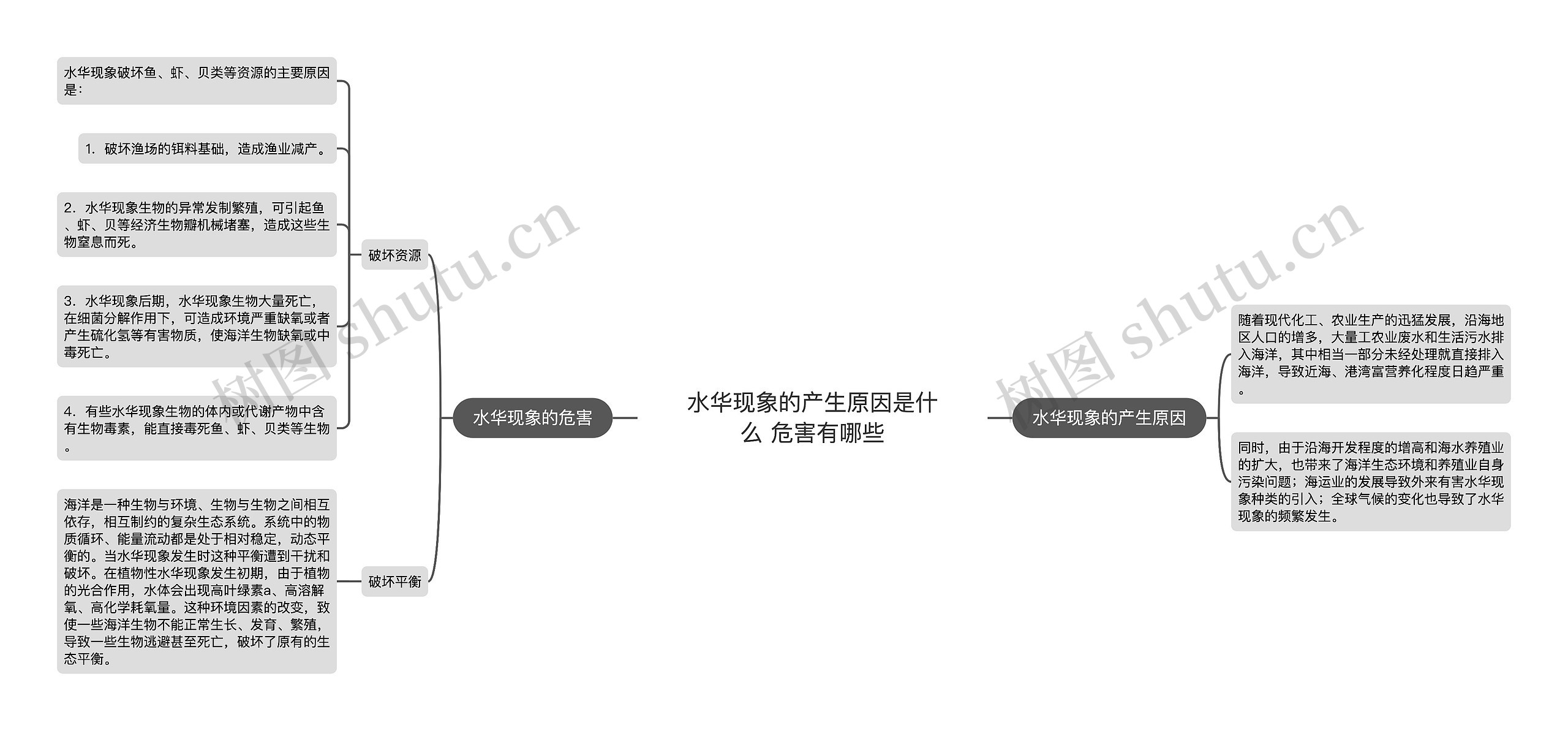 水华现象的产生原因是什么 危害有哪些