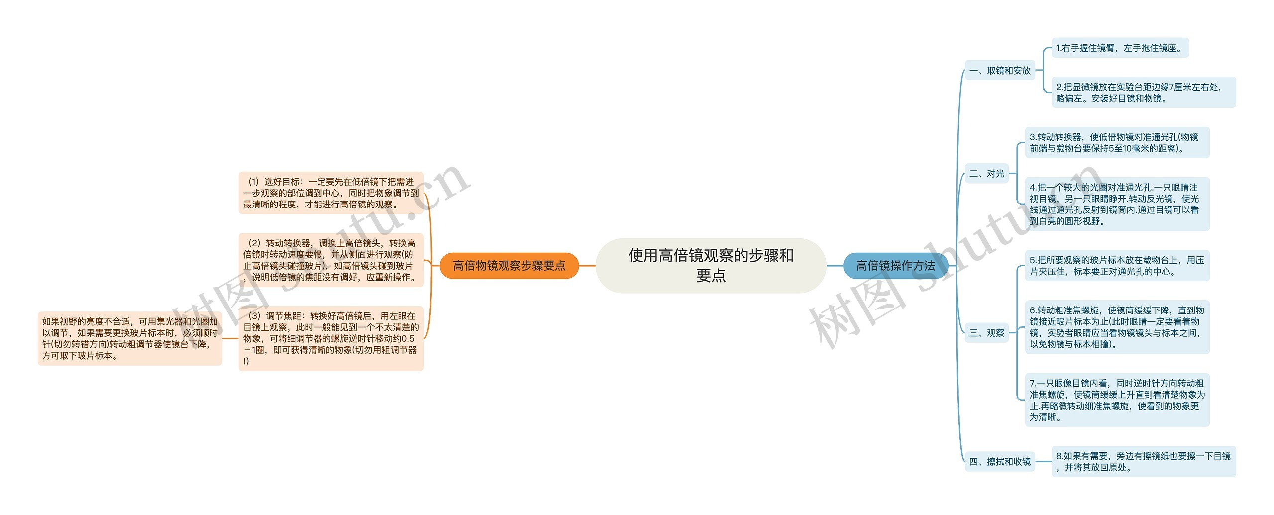 使用高倍镜观察的步骤和要点