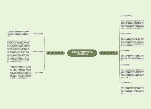 湿地生态系统被称为什么？特征是什么？