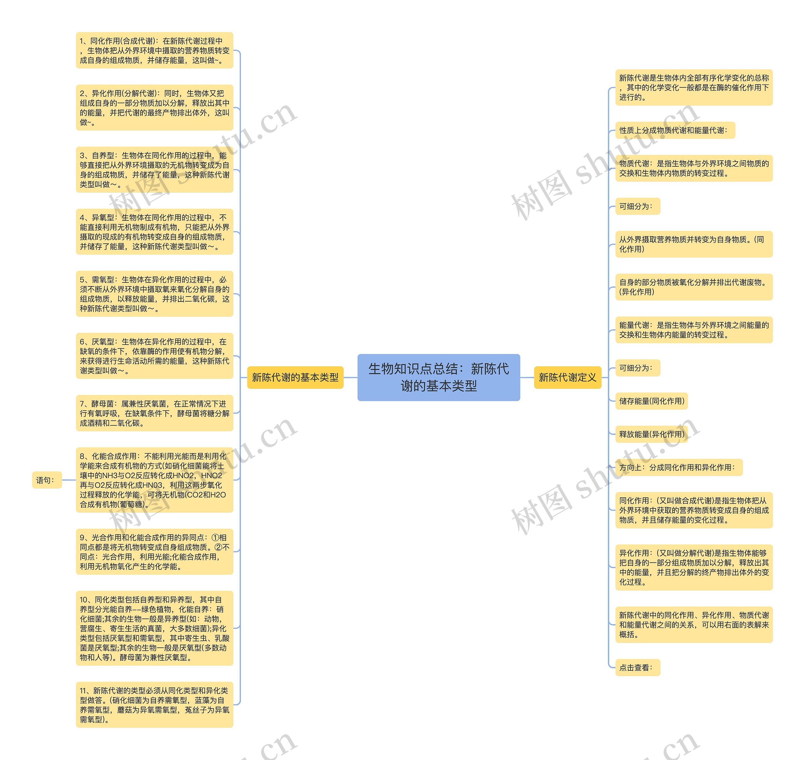 生物知识点总结：新陈代谢的基本类型思维导图