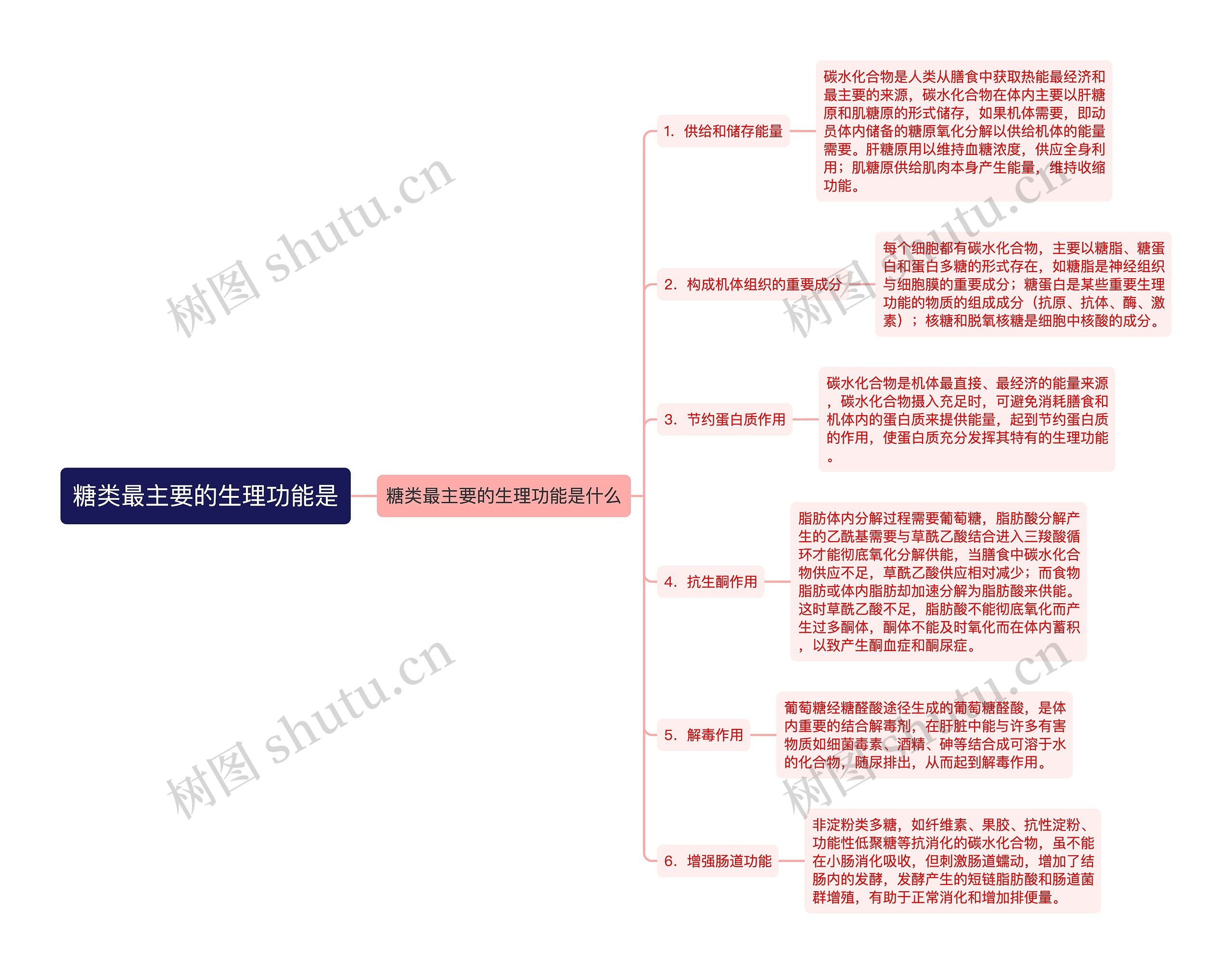 糖类最主要的生理功能是