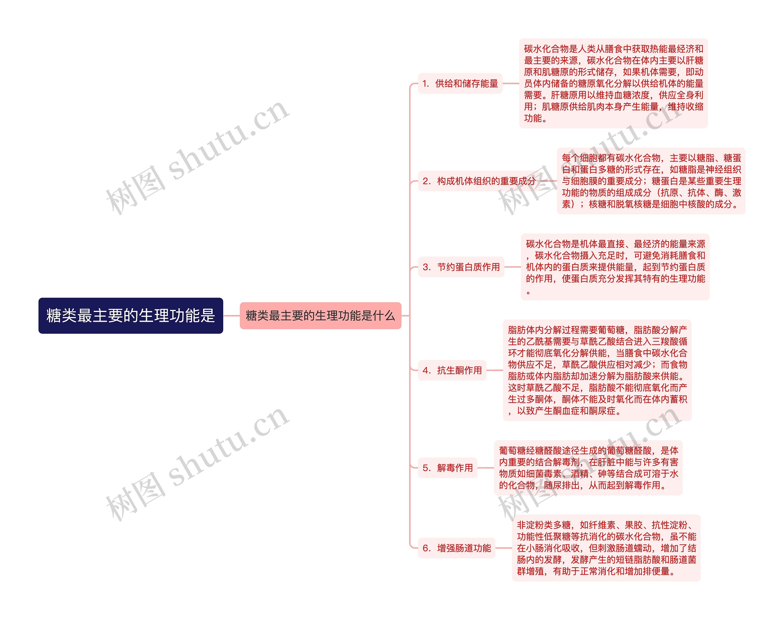 糖类最主要的生理功能是思维导图