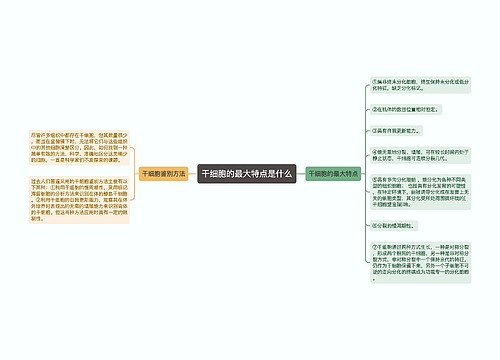 干细胞的最大特点是什么