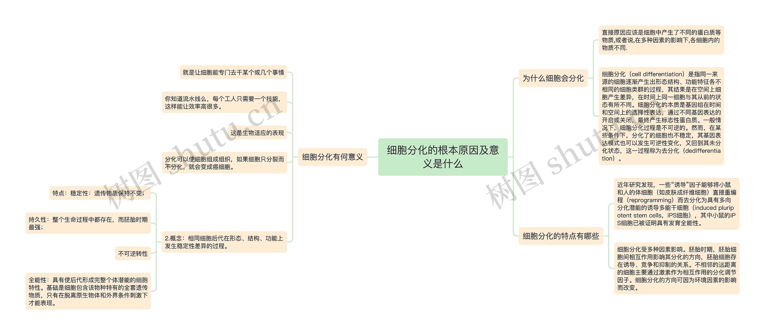 细胞分化的根本原因及意义是什么